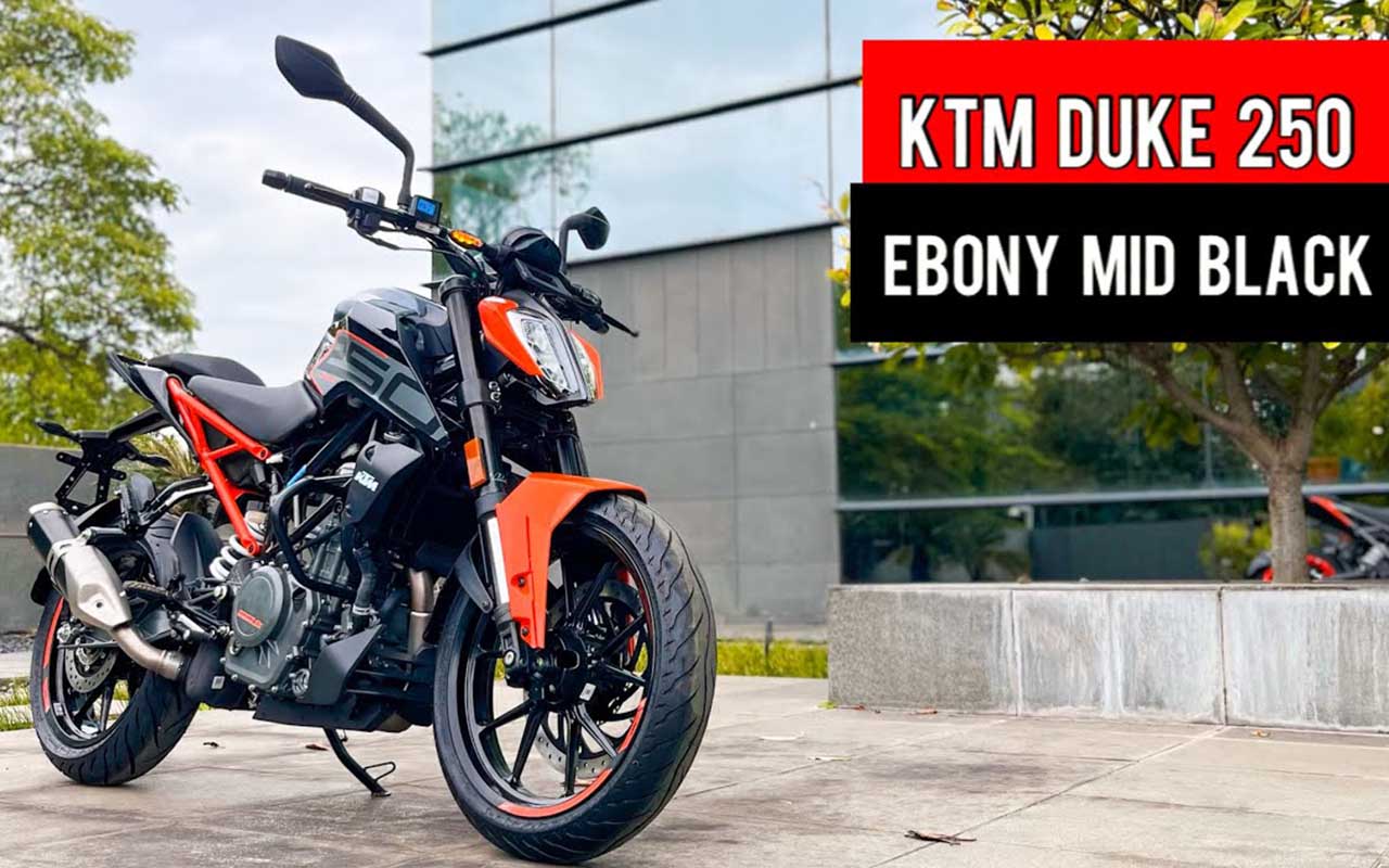 KTM Duke 250 The Stylish and Powerful Bike for the Roads (2)